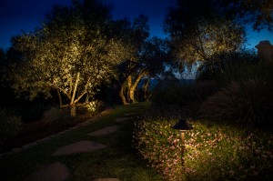 LED landscape design lighting pathway and trees